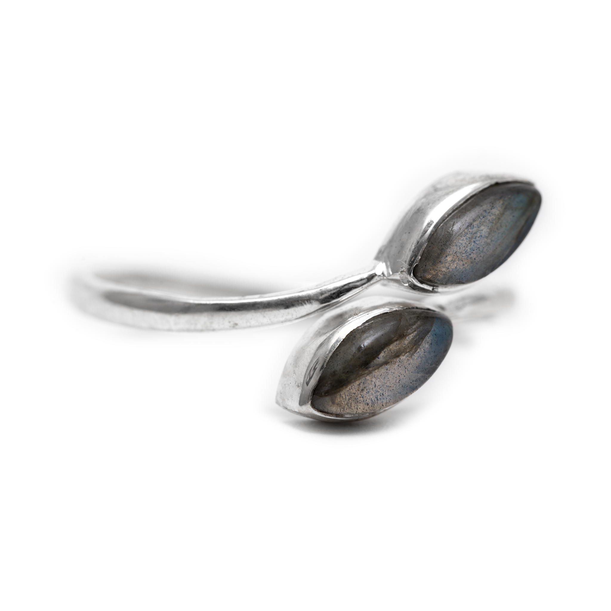 Twisted Leaves - Labradorite